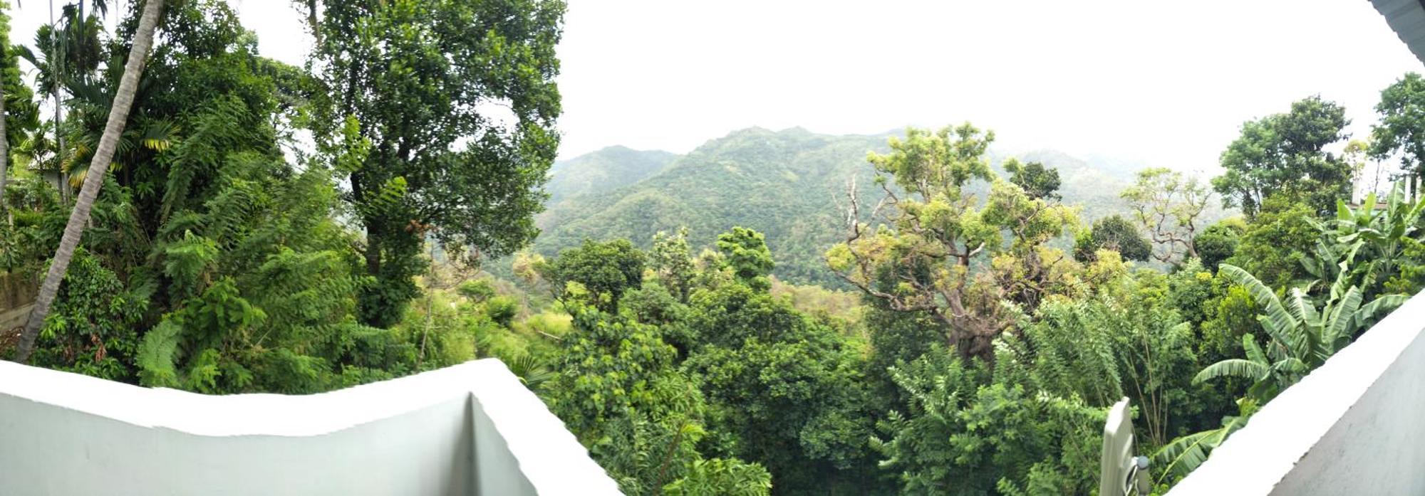 Green Cage Hotel & Restaurant Ella Εξωτερικό φωτογραφία