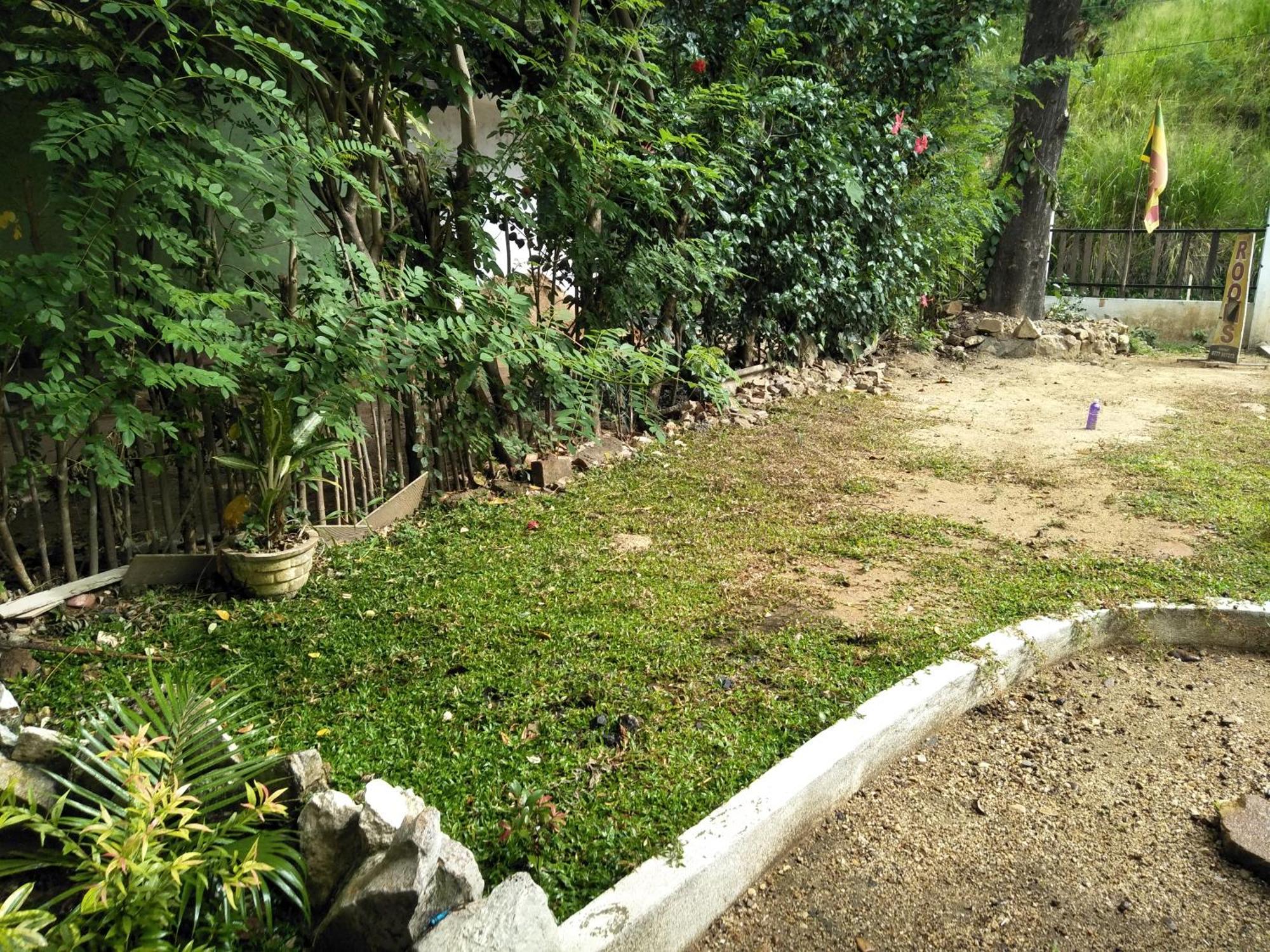 Green Cage Hotel & Restaurant Ella Εξωτερικό φωτογραφία